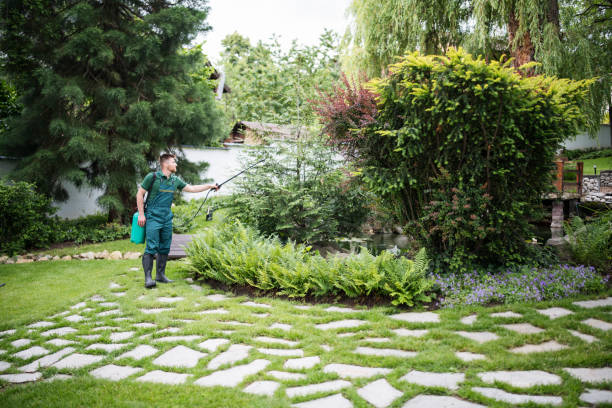 Best Best Pest Control Companies  in Lake Oswego, OR
